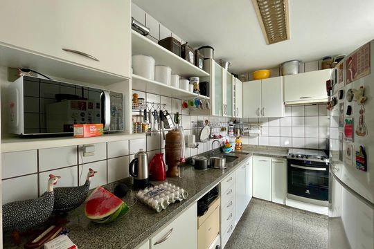 Apartamento à venda com 2 quartos, 95m² em São Lucas, Belo Horizonte