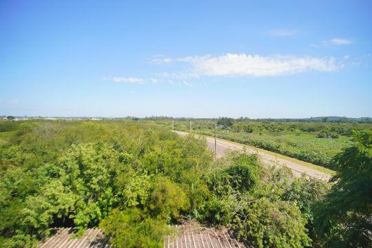 Vista do Quarto 1 de apartamento à venda com 2 quartos, 49m² em São Miguel, São Leopoldo