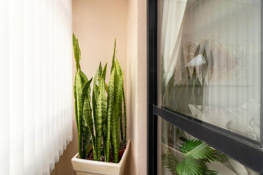 Varanda da Sala de apartamento à venda com 2 quartos, 50m² em Parque Mandaqui, São Paulo