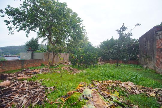 Quintal de casa à venda com 2 quartos, 42m² em Santa Teresa, São Leopoldo
