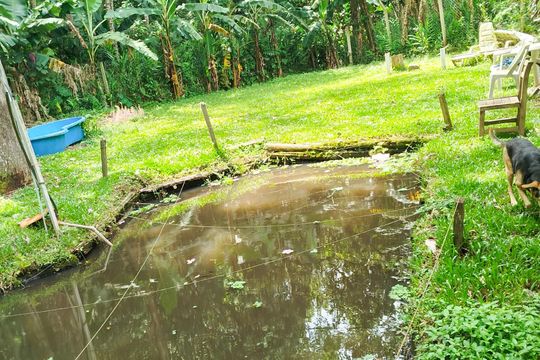 Quintal de casa à venda com 4 quartos, 1008m² em Recreio da Borda do Campo, Santo André