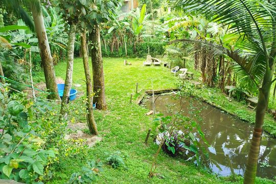 Quintal de casa à venda com 4 quartos, 1008m² em Recreio da Borda do Campo, Santo André
