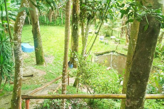 Quintal de casa à venda com 4 quartos, 1008m² em Recreio da Borda do Campo, Santo André