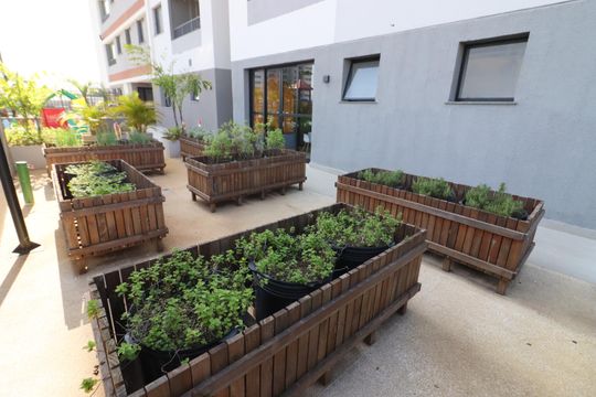 Área comum - Horta de apartamento à venda com 2 quartos, 40m² em Presidente Altino, Osasco