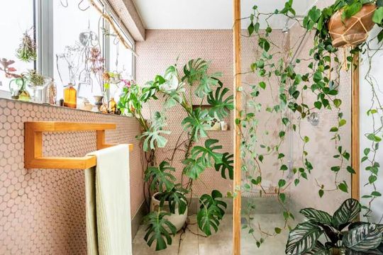 Banheiro de apartamento para alugar com 1 quarto, 135m² em Vila Buarque, São Paulo