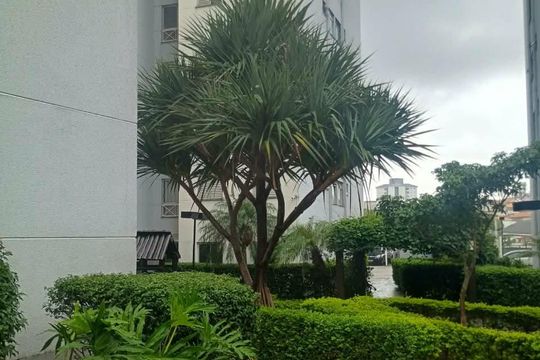 Área externa de apartamento à venda com 2 quartos, 44m² em Vila Cruz das Almas, São Paulo