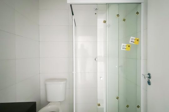 Banheiro de apartamento para alugar com 2 quartos, 42m² em Vila Sao Francisco, São Paulo