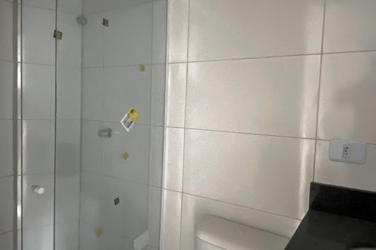 Banheiro de apartamento para alugar com 2 quartos, 40m² em Vila Sao Francisco, São Paulo