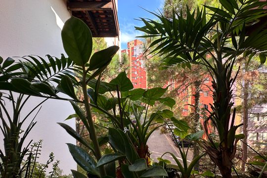 Vista da Sala de apartamento à venda com 3 quartos, 68m² em Demarchi, São Bernardo do Campo