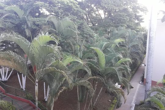 Área externa de apartamento à venda com 2 quartos, 67m² em Jardim Garcia, Campinas