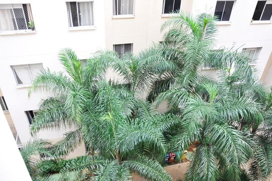 Detalhe - Vista do Quarto 01 de apartamento à venda com 2 quartos, 34m² em Piqueri, São Paulo