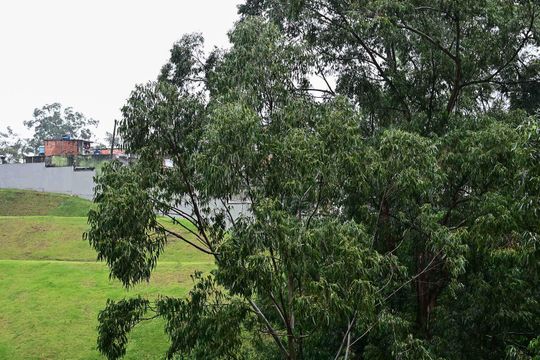 Vista de apartamento à venda com 3 quartos, 64m² em Vila Andrade, São Paulo