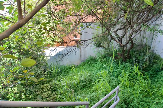 Área Comum - Pomar de apartamento à venda com 3 quartos, 88m² em Gutierrez, Belo Horizonte