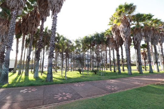 Fachada de apartamento para alugar com 2 quartos, 44m² em Gávea, Uberlândia