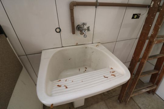 Casa à venda com 3 quartos, 277m² em Vila Santa Clara, São Paulo