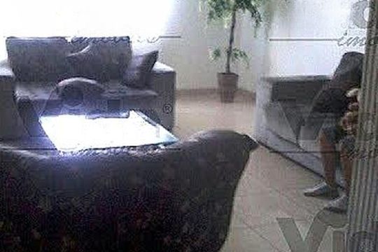 Casa à venda com 3 quartos, 199m² em Pestana, Osasco