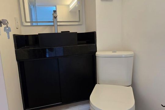 Banheiro de apartamento para alugar com 1 quarto, 39m² em Belenzinho, São Paulo
