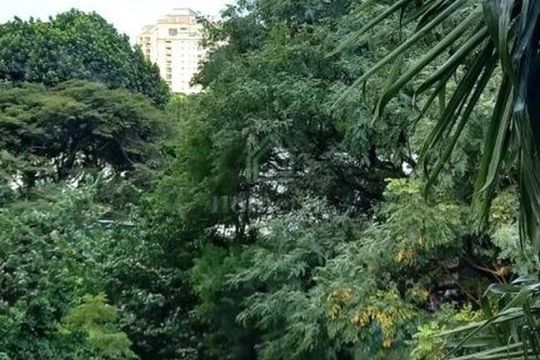 Apartamento à venda com 4 quartos, 184m² em Indianópolis, São Paulo