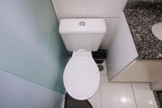 Banheiro de apartamento para alugar com 2 quartos, 50m² em Parque São Lourenço, São Paulo