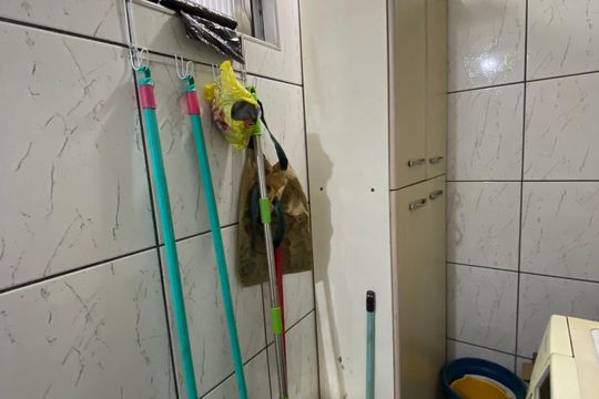Área de Serviço de apartamento à venda com 3 quartos, 70m² em Jardim Londrina, São Paulo