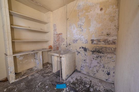 Área de Serviço de casa para alugar com 2 quartos, 250m² em Vila Granada, São Paulo