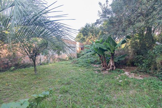 Quintal de casa à venda com 2 quartos, 170m² em Belém Velho, Porto Alegre