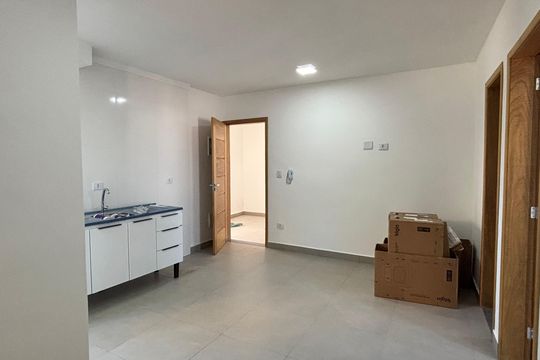 Sala/Cozinha de apartamento para alugar com 1 quarto, 34m² em Vila Monte Alegre, São Paulo