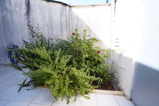 Casa à venda com 4 quartos, 290m² em Jardim América, Goiânia
