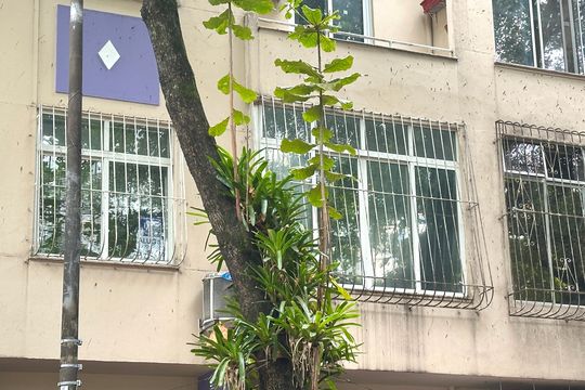 Fachada  de apartamento à venda com 4 quartos, 188m² em Ipanema, Rio de Janeiro
