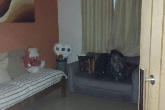 Casa à venda com 3 quartos, 260m² em Vereda, Contagem