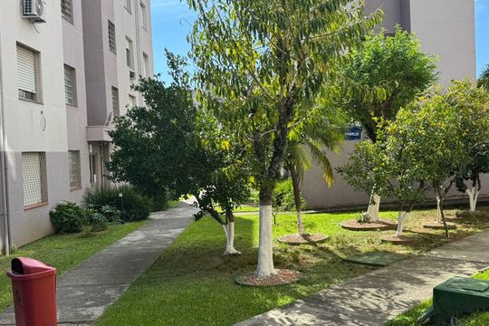 Área externa de apartamento para alugar com 1 quarto, 36m² em Morro Santana, Porto Alegre