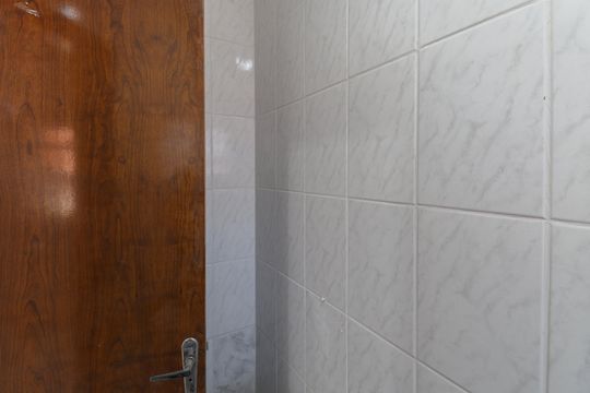 Banheiro da Suíte de kitnet/studio para alugar com 1 quarto, 20m² em Vila Maria Alta, São Paulo