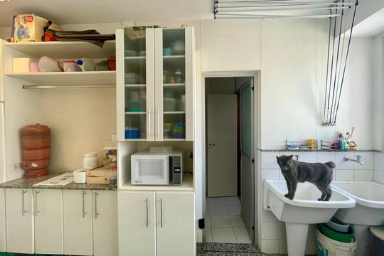 Apartamento à venda com 4 quartos, 156m² em Santo Agostinho, Belo Horizonte