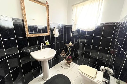 Lavabo de casa à venda com 3 quartos, 239m² em Parque Peruche, São Paulo