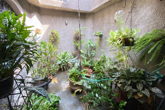 Casa à venda com 5 quartos, 1240m² em Água Santa, Rio de Janeiro