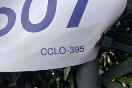 CCLO-395 de apartamento à venda com 3 quartos, 84m² em Casa Verde, São Paulo