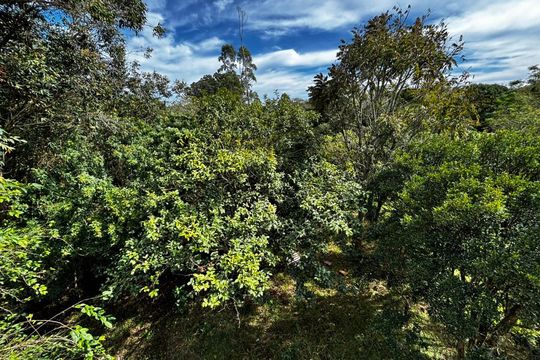 Casa para alugar com 3 quartos, 416m² em Sítio São José, Viamão