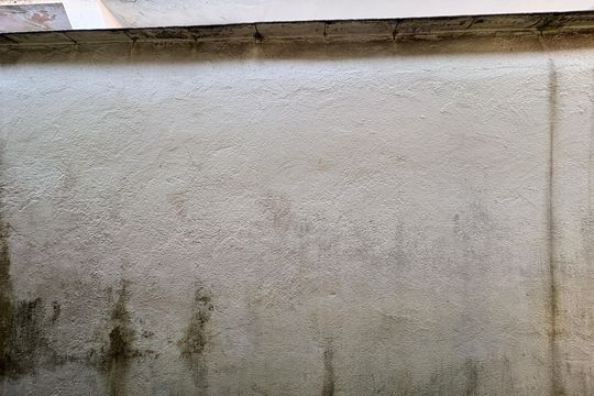 Vista do Quarto 2 de casa à venda com 2 quartos, 180m² em Vila Siqueira (zona Norte), São Paulo