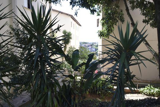 Área comum de apartamento para alugar com 2 quartos, 47m² em Jardim Guaruja, Embu das Artes