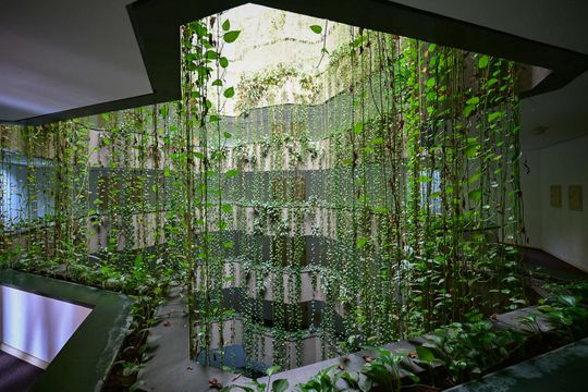 Hall de Circulação  de apartamento para alugar com 1 quarto, 40m² em Jardim Ampliacao, São Paulo