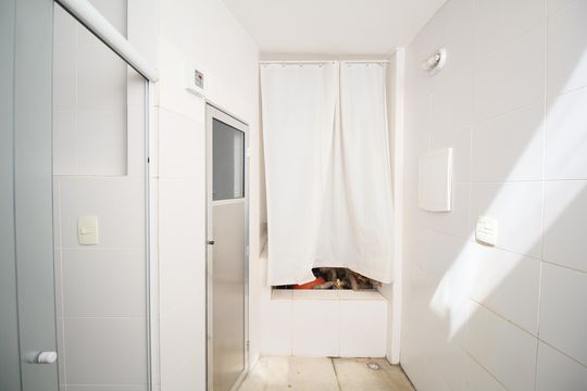 Saúna de casa à venda com 6 quartos, 350m² em Vila Sonia, São Paulo
