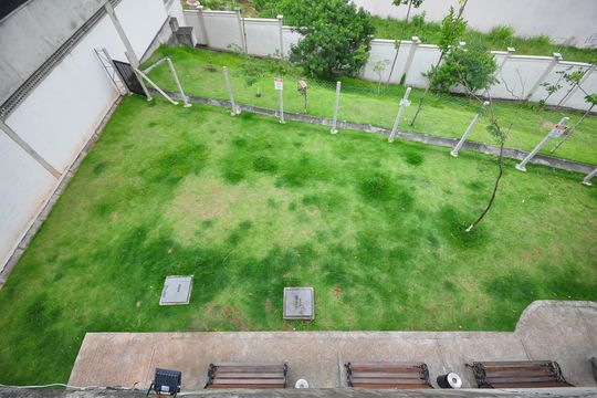 Espaço Pet de apartamento para alugar com 2 quartos, 44m² em Vila Suzana, São Paulo
