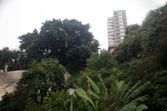 Sala Vista de apartamento à venda com 3 quartos, 76m² em Rio Branco, Porto Alegre