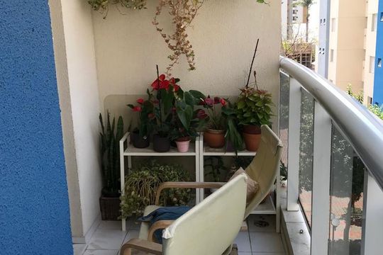 Apartamento à venda com 3 quartos, 80m² em Jardim Analia Franco, São Paulo