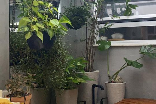Área de serviço de apartamento à venda com 2 quartos, 60m² em Ipanema, Rio de Janeiro