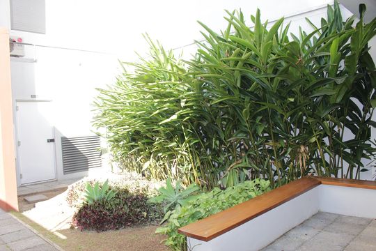 Kitnet/Studio à venda com 1 quarto, 26m² em Vila Buarque, São Paulo