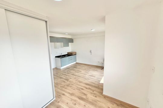 Sala/Quarto/Cozinha de kitnet/studio para alugar com 1 quarto, 31m² em Parada Inglesa, São Paulo