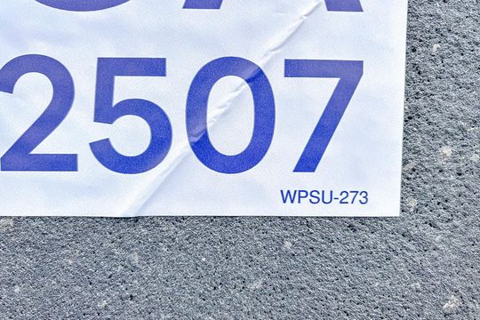 WPSU-273 de apartamento para alugar com 2 quartos, 55m² em Tatuapé, São Paulo