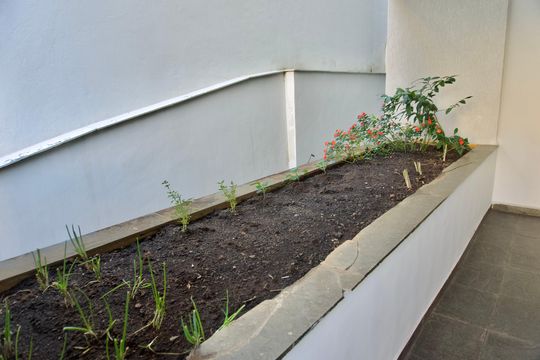 Área Comum - Horta de apartamento à venda com 4 quartos, 120m² em Coracao de Jesus, Belo Horizonte