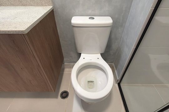 Banheiro de apartamento para alugar com 2 quartos, 50m² em Quarta Parada, São Paulo